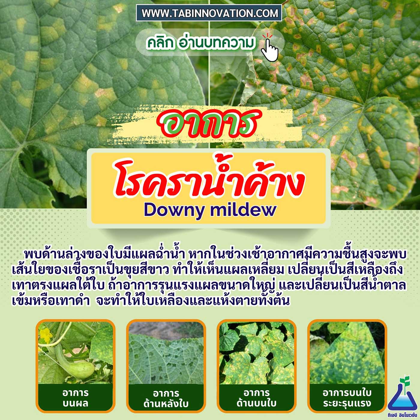 โรคราน้ำค้าง