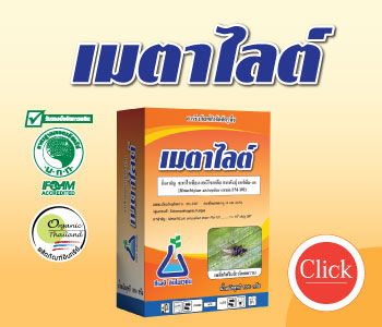 การใช้ชีวภัณฑ์ เมตาไลต์ ผสมร่วมกับผลิตภัณฑ์อื่นๆ