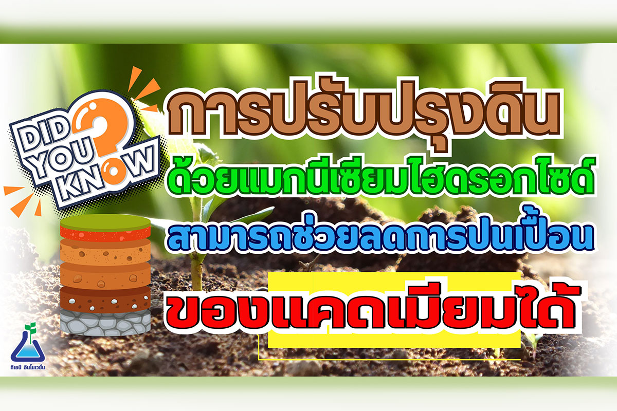 รู้หรือไม่? การปรับปรุงดินด้วย แมกนีเซียมไฮดรอกไซด์ สามารถช่วยลดการปนเปื้อนของ แคดเมียมได้