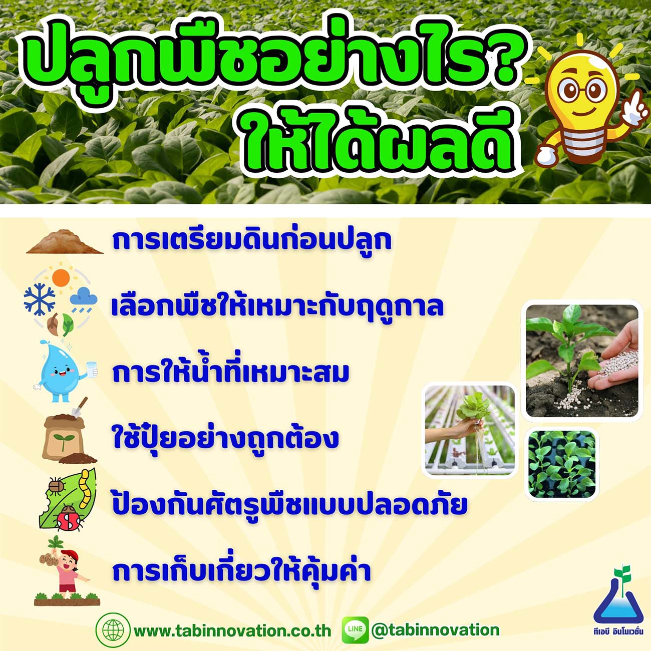 ปลูกพืชอย่างไร? ให้ได้ผลดี