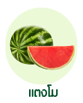 แตงโม (WaterMelon)