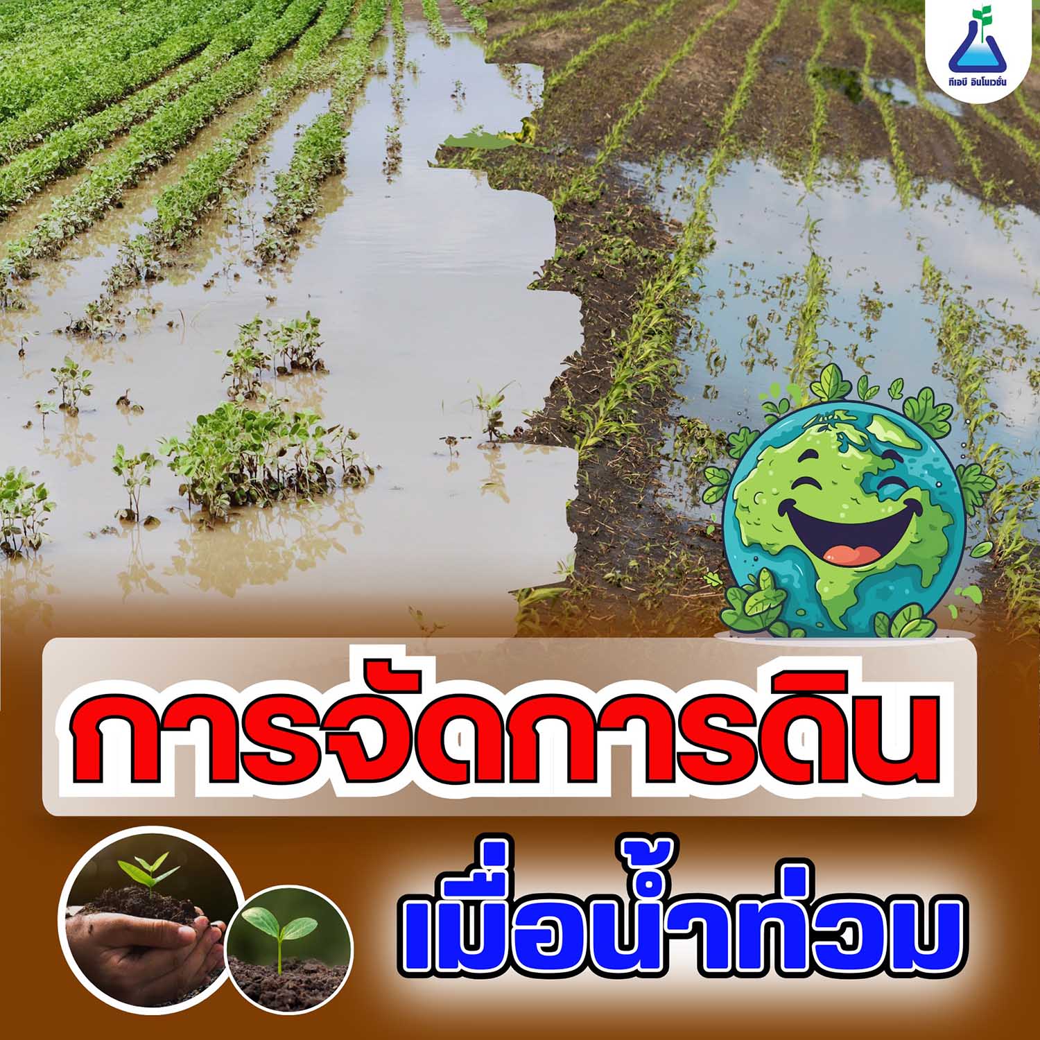 การจัดการดิน เมื่อน้ำท่วม