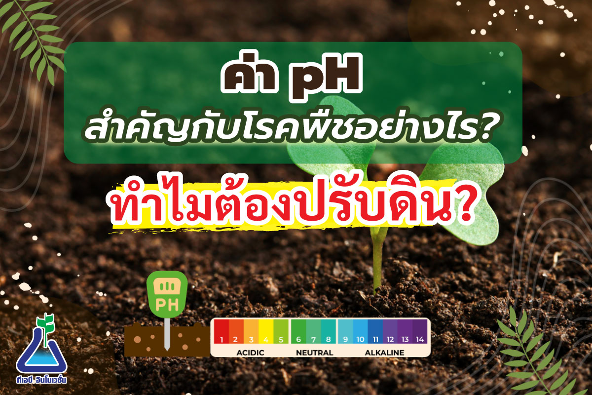 ค่า pH สำคัญกับโรคพืชอย่างไร? ทำไมต้องปรับดิน?
