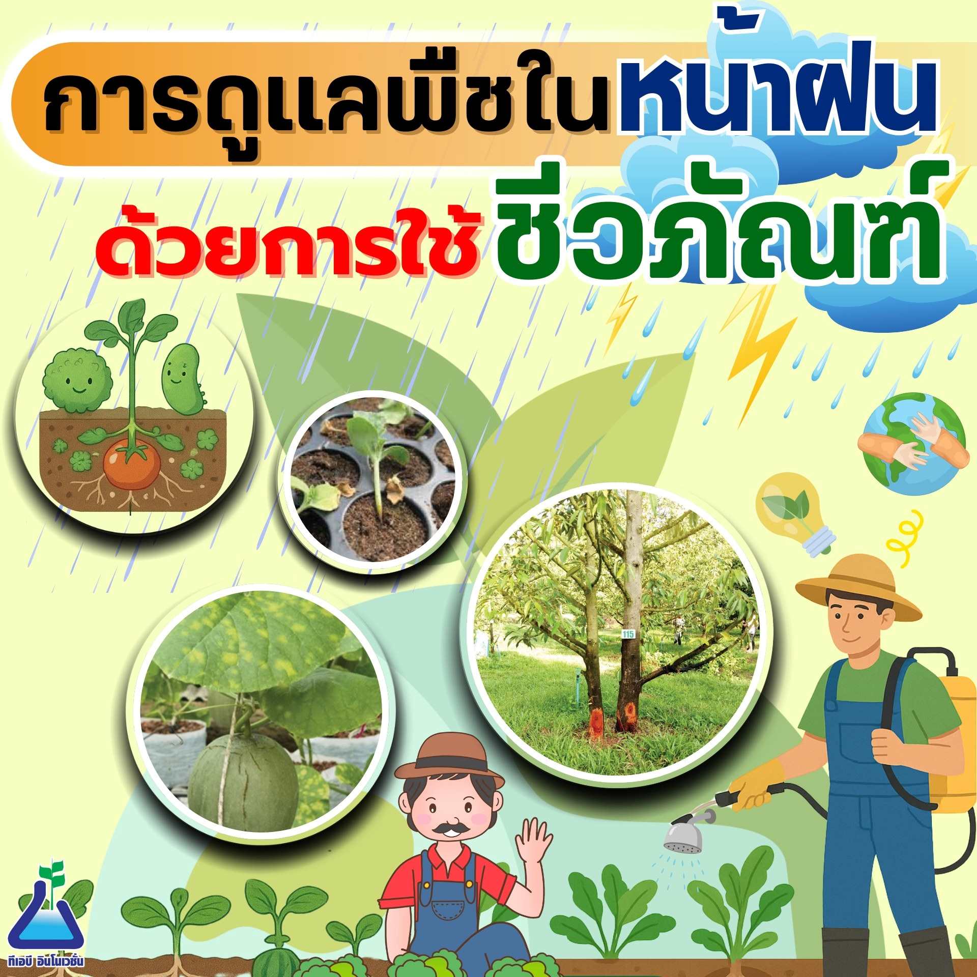 การดูแลพืชในหน้าฝน ด้วยการใช้ชีวภัณฑ์