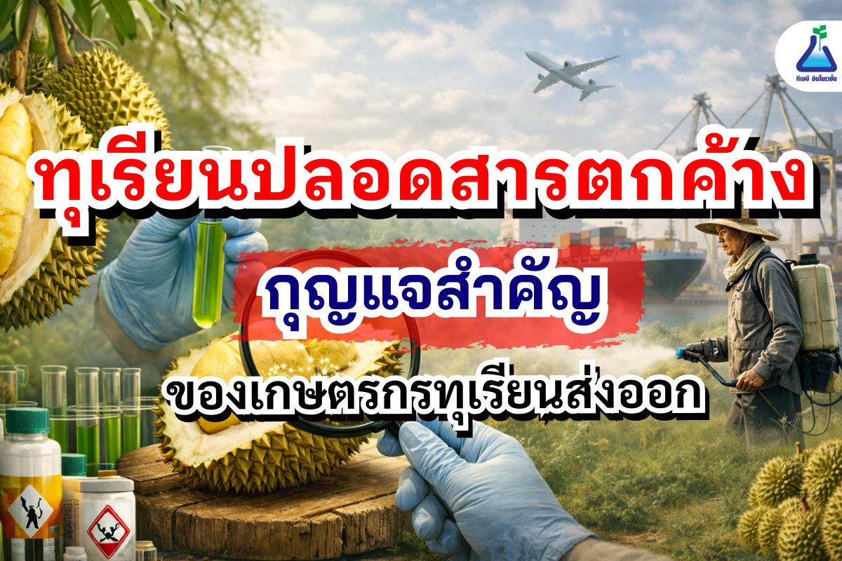 ทุเรียนปลอดสารตกค้าง กุญแจสำคัญของเกษตรกรทุเรียนส่งออก