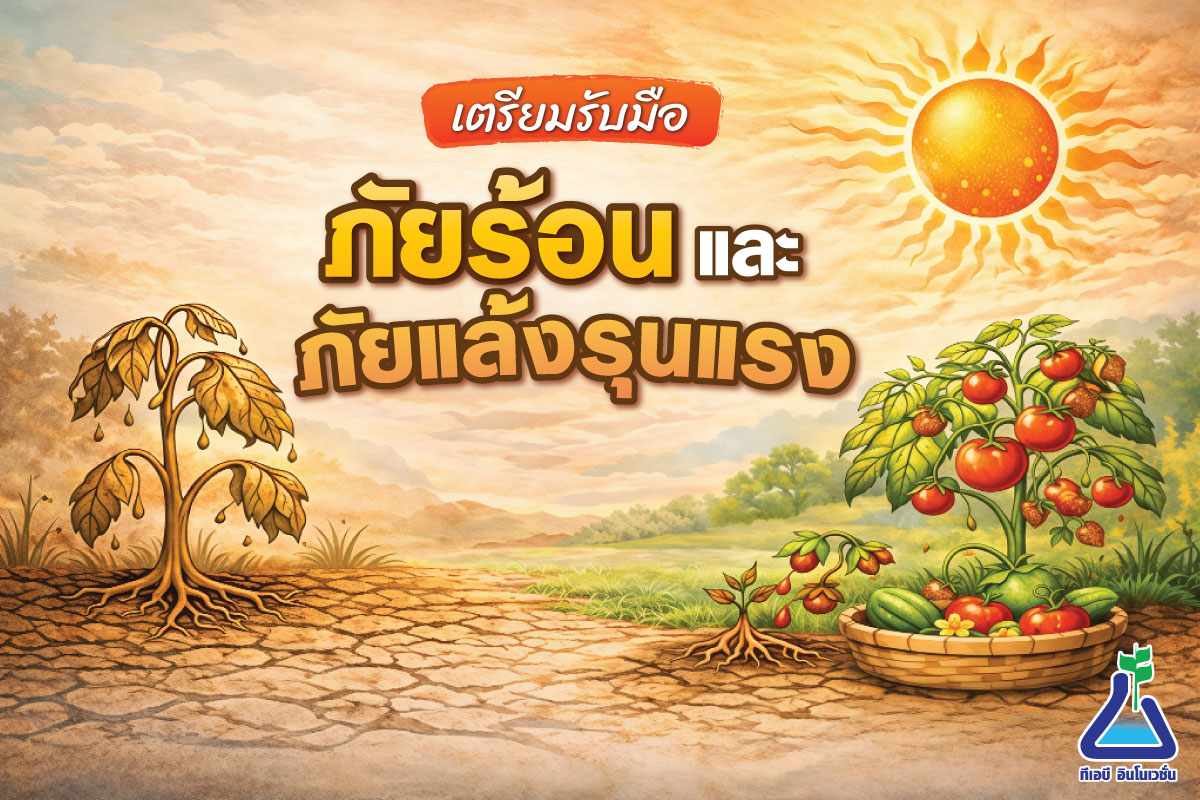 เตรียมรับมือภัยร้อน และ ภัยแล้งรุนแรง