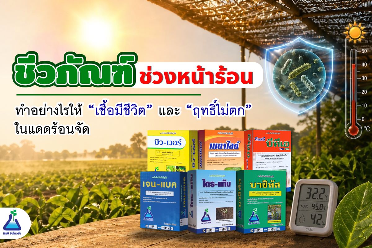 ชีวภัณฑ์ช่วงหน้าร้อนทำอย่างไรให้ &ldquo;เชื้อมีชีวิต&rdquo; และ &ldquo;ฤทธิ์ไม่ตก&rdquo; ในแดดร้อนจัด