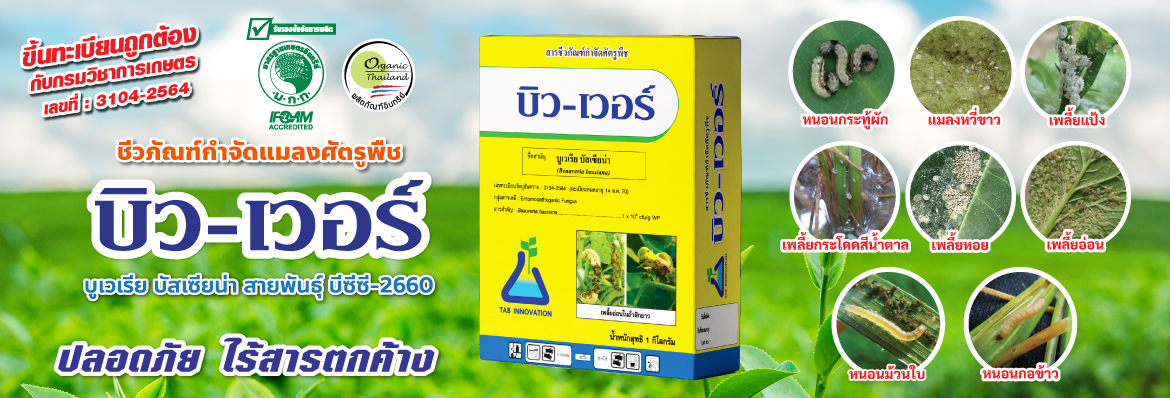 บิว-เวอร์