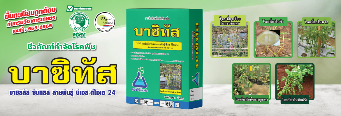 บาซิทัส