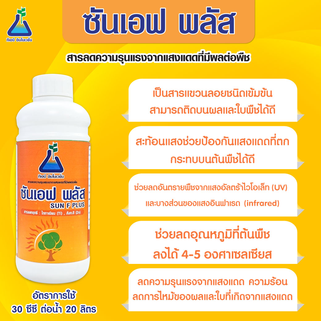 ซันเอฟ พลัส (SUN F Plus)