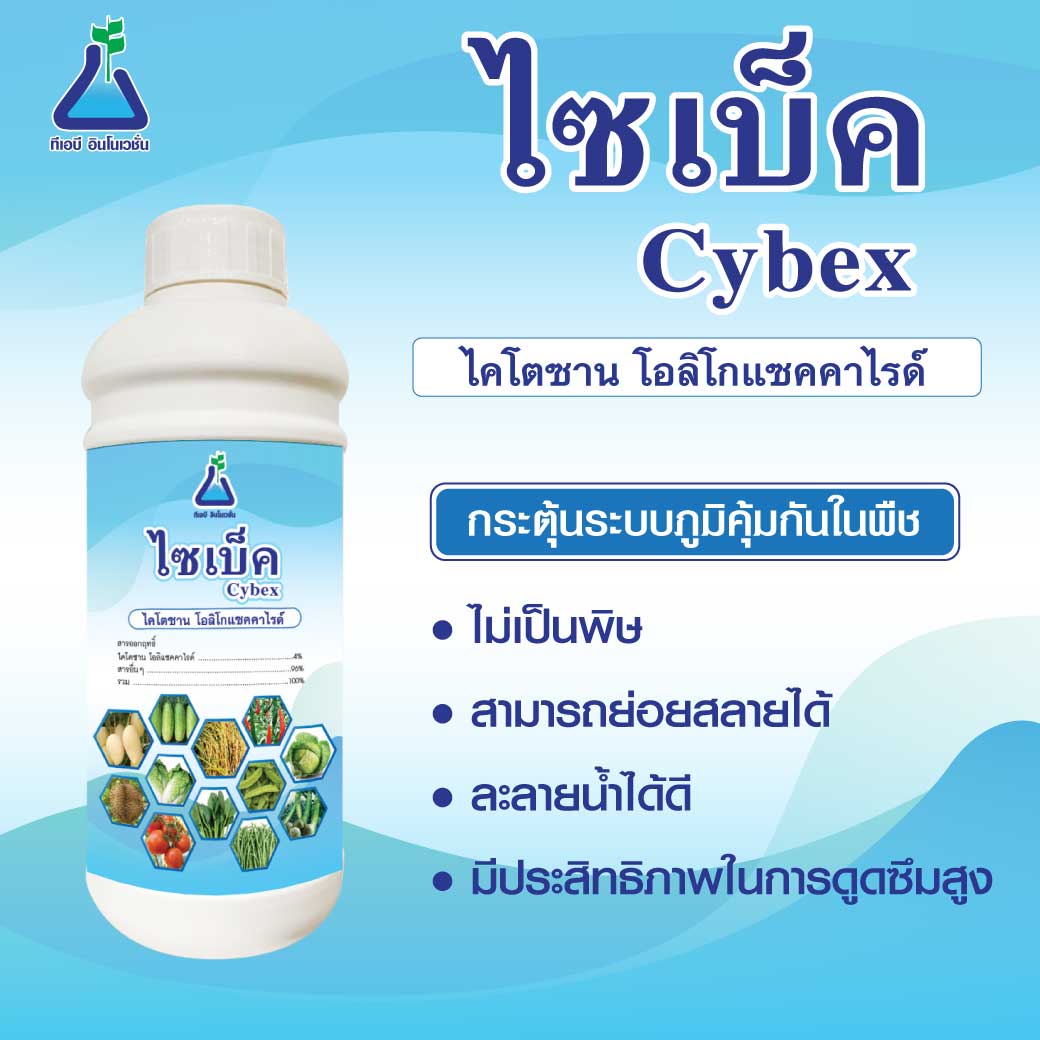 ไซเบ็ค (Cybex)