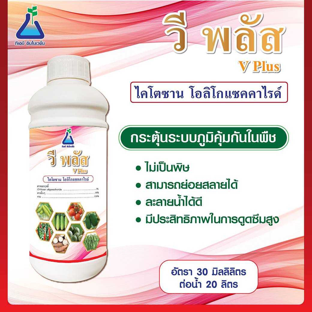 วี พลัส(V Plus)