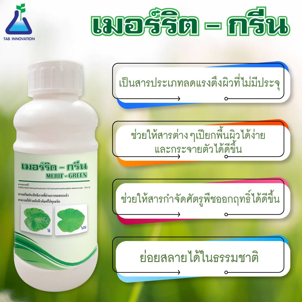 เมอร์ริตกรีน