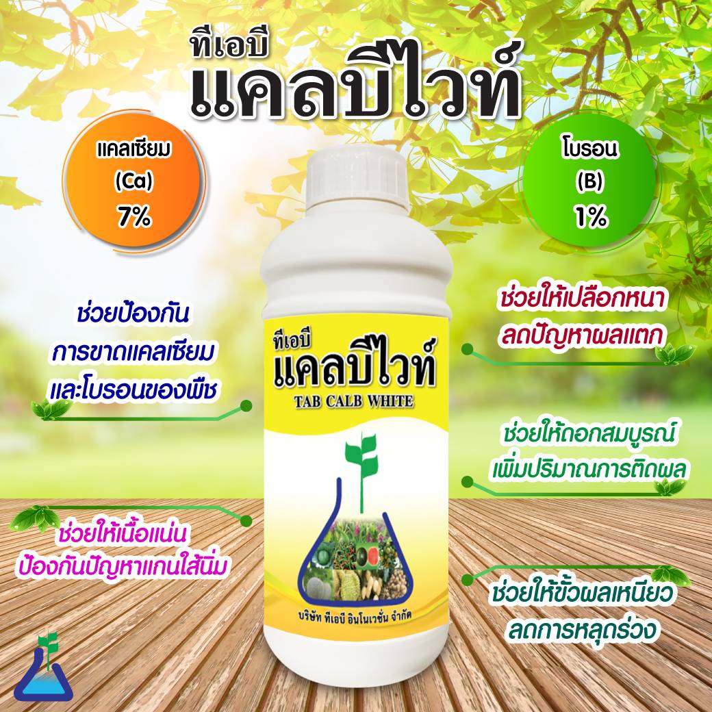 ทีเอบี แคลบีไวท์