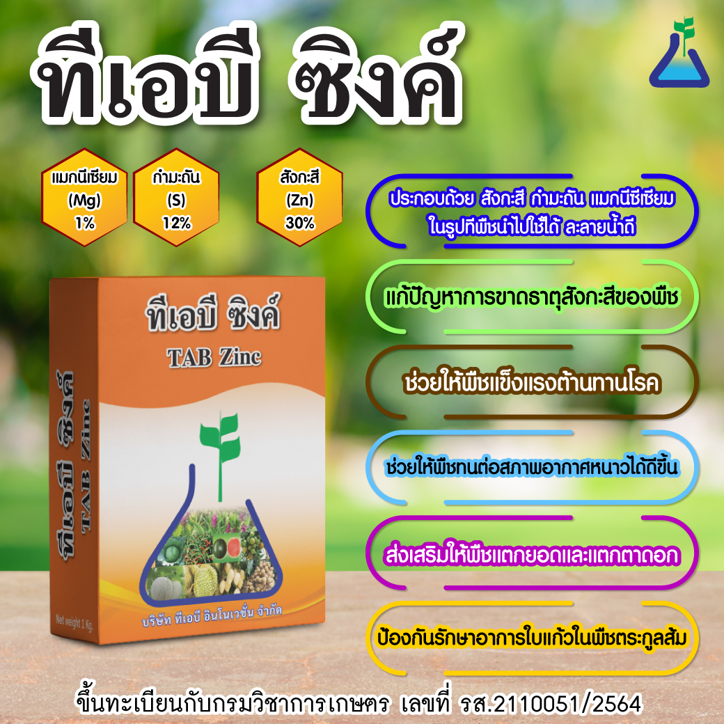 ทีเอบี ซิงค์