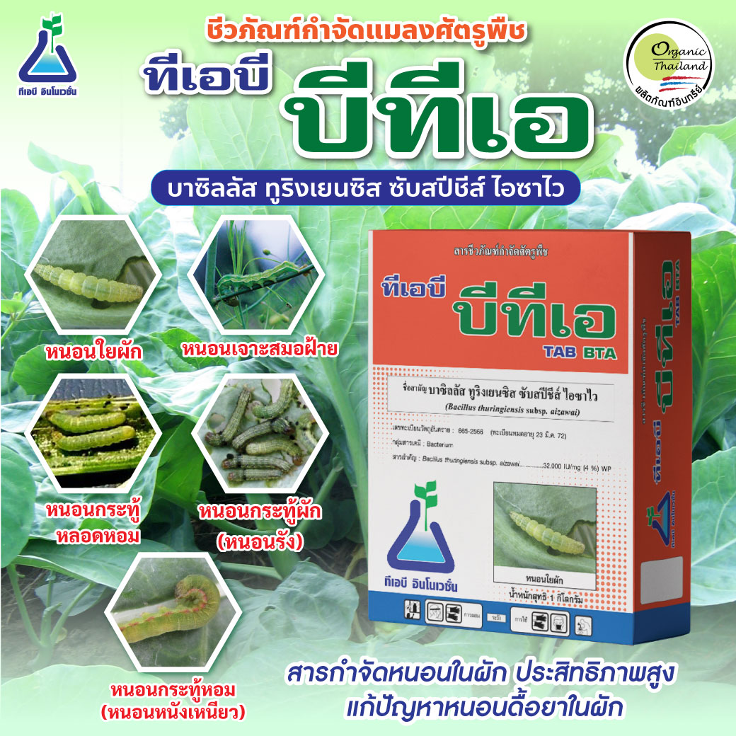 ทีเอบี บีทีเอ (บาซิลลัส ทูริงเยนซิส ซับสปีชีส์ ไอซาไว) ชีวภัณฑ์กำจัดศัตรูพืช