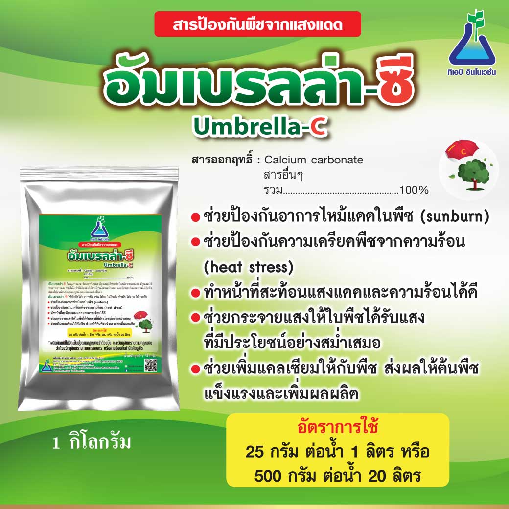 อัมเบรลล่า-ซี(Umbrella-C)