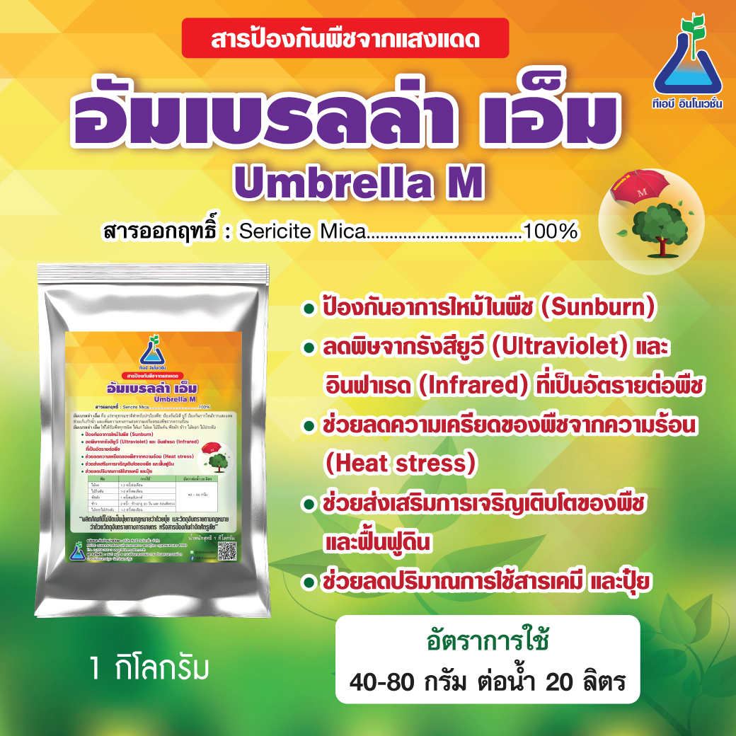 อัมเบรลล่า-เอ็ม (Umbrella-M)