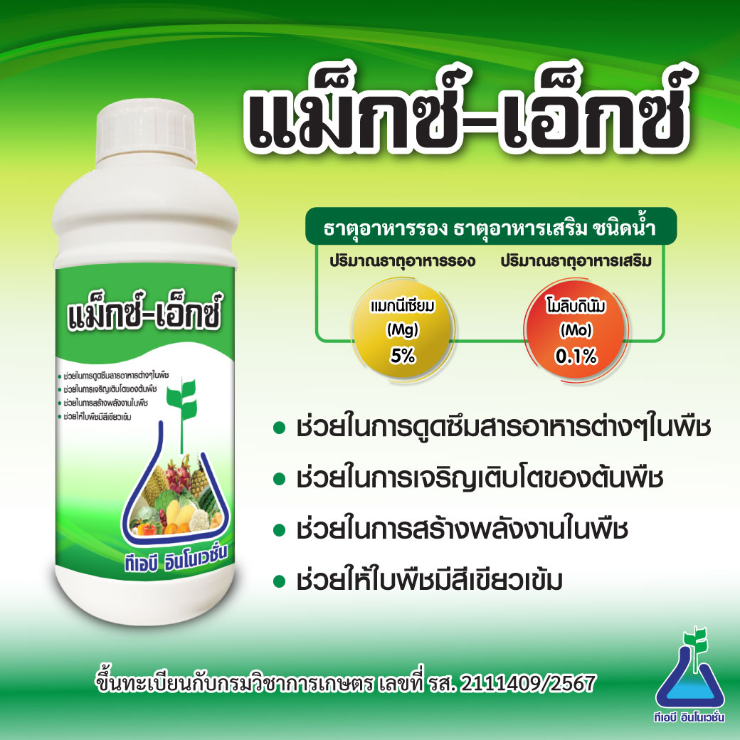 แม็กซ์-เอ็กซ์