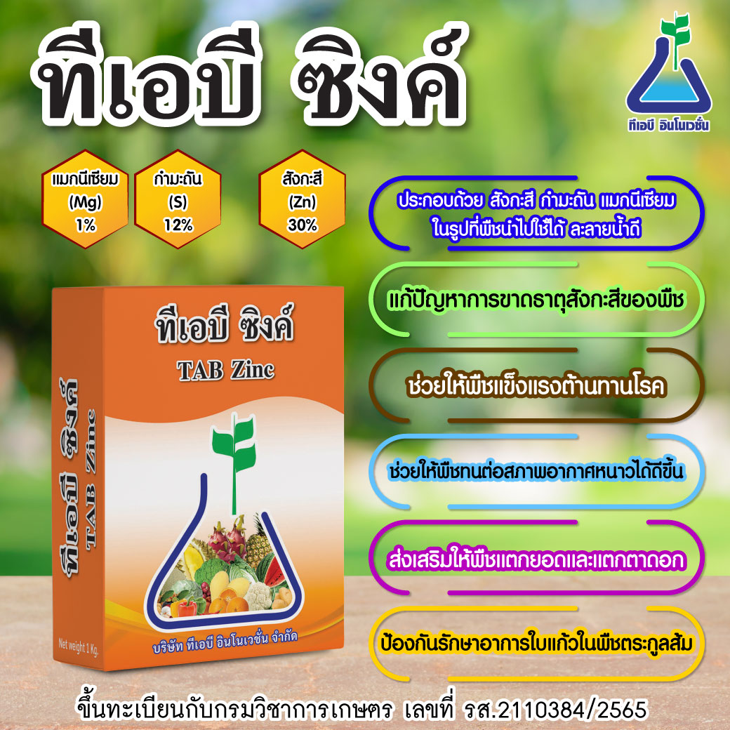 ทีเอบี ซิงค์