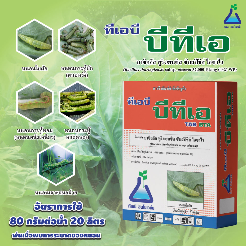 สารชีวภัณฑ์กำจัดหนอนในผัก ทีเอบี บีทีเอ วิธีกำจัดหนอนบุ้ง