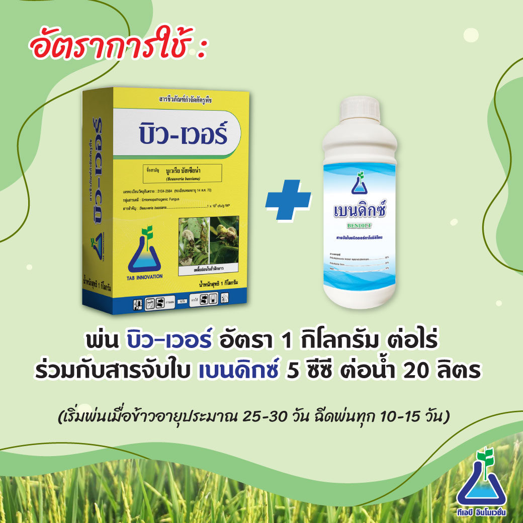 บิว-เวอร์ ยาฉีดหนอนกอข้าว เชื้อรากำจัดแมลงศัตรูพืช
