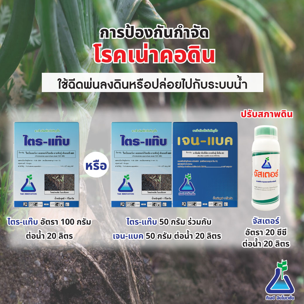 โรคเน่าคอดิน ป้องกันได้ด้วยไตร-แท๊บ