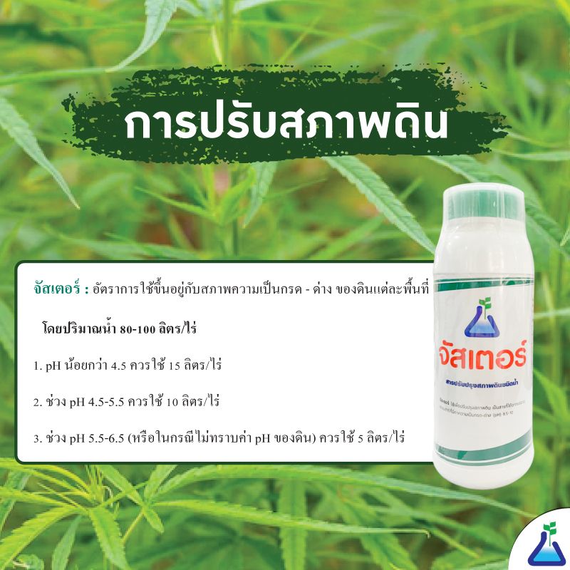 ใช้จัสเตอร์ ปรับสภาพดิน หนึ่งในวิธีปลูกกัญชา