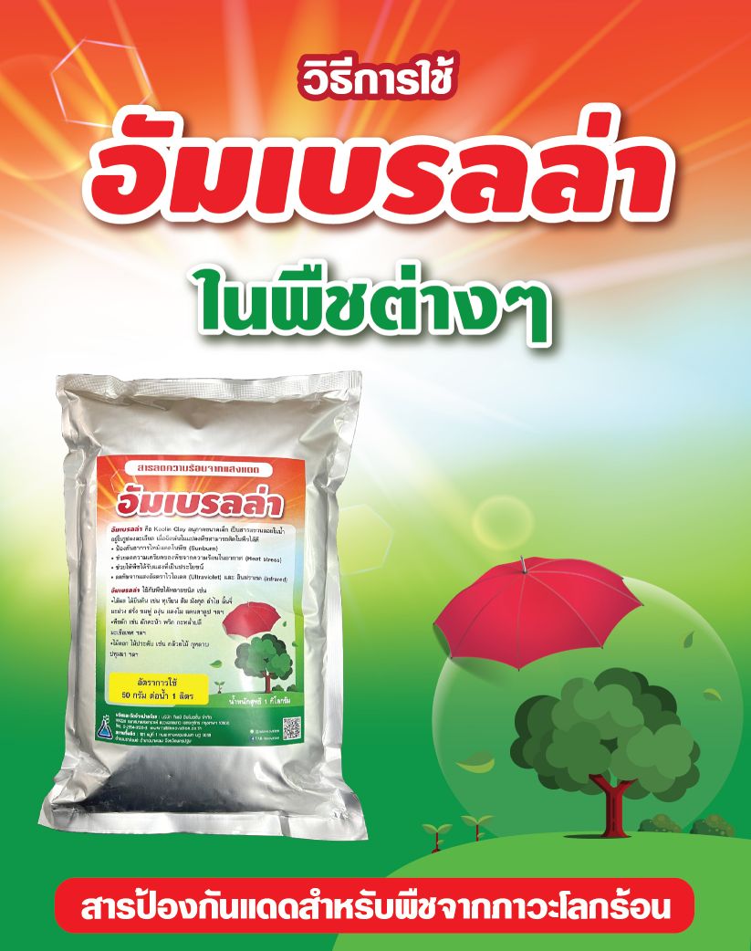 อัมเบรลล่าสารกัดแดด