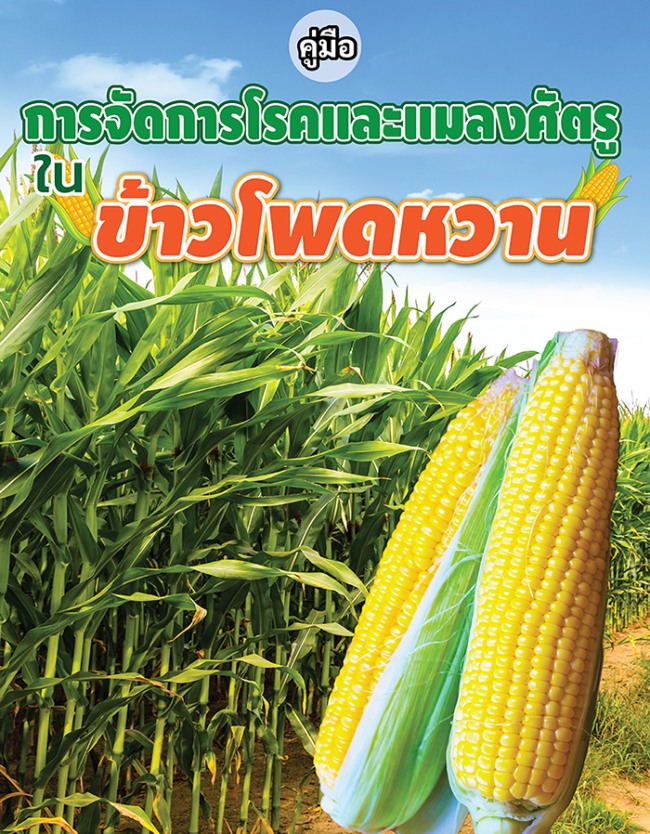 corn