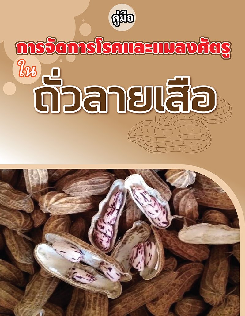 Tiger Peanut