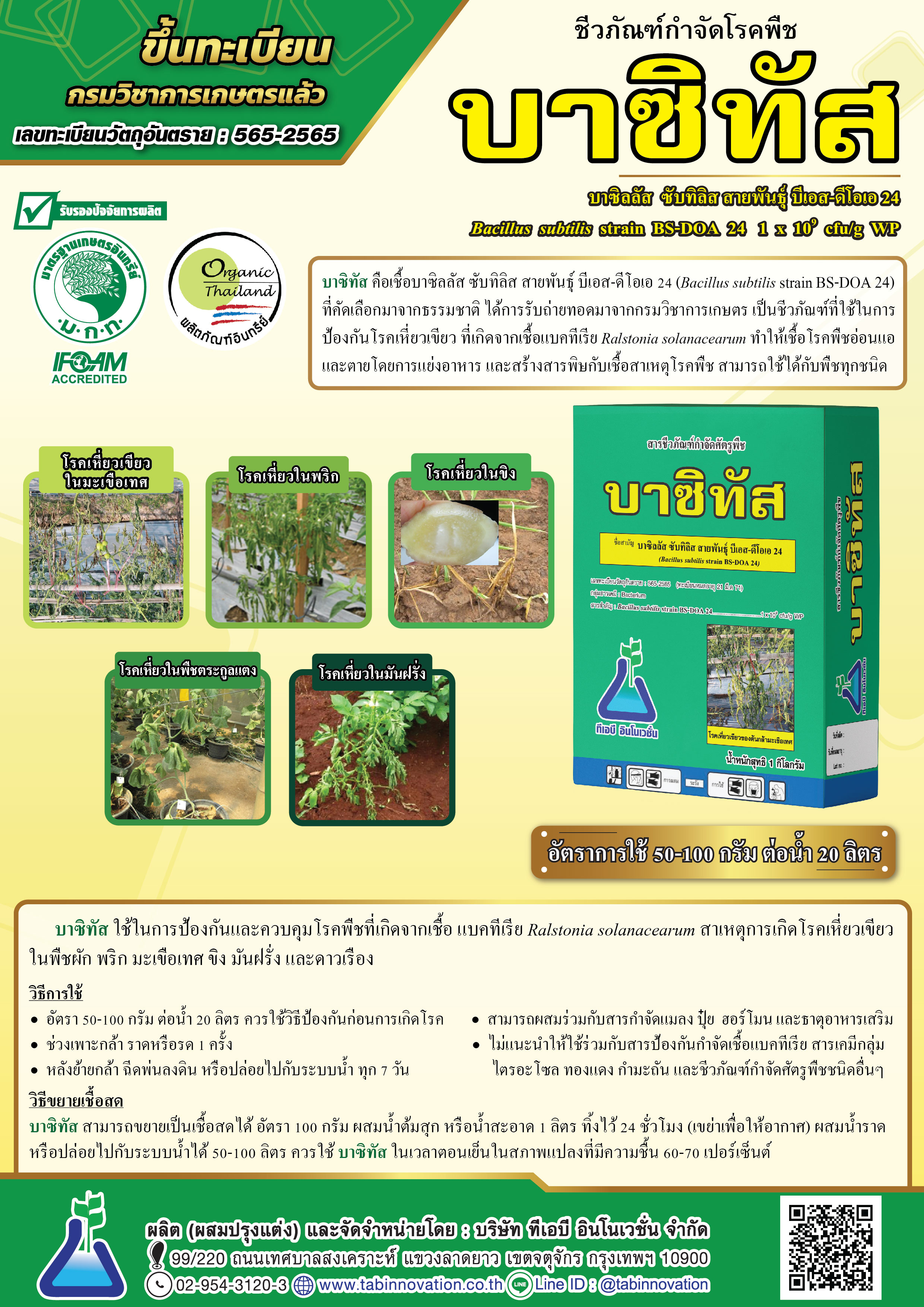 บาซิลลัส ซับทิลิส